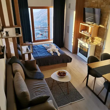 Apartment Sans Lux N42 Milmari Kopaonik
