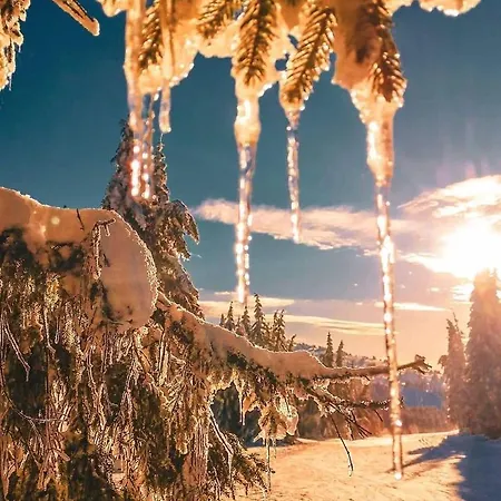 Sans Lux N42 Milmari *