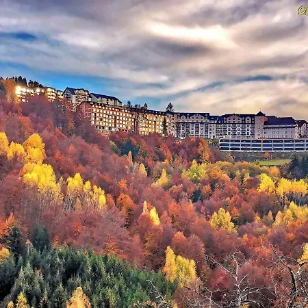Apartment Sans Lux N42 Milmari Kopaonik