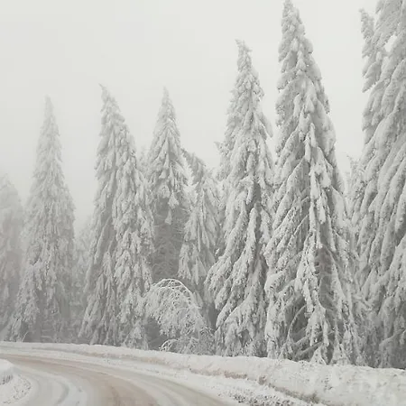 Sans Lux N42 Milmari דירה *