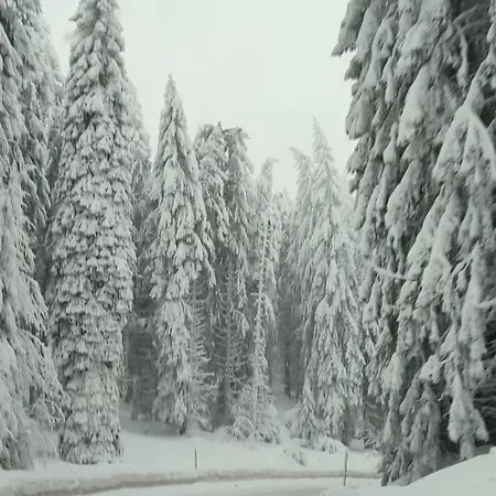 Sans Lux N42 Milmari דירה