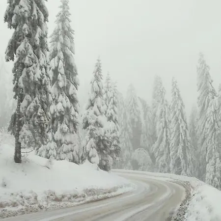 דירה Sans Lux N42 Milmari קופאוניק