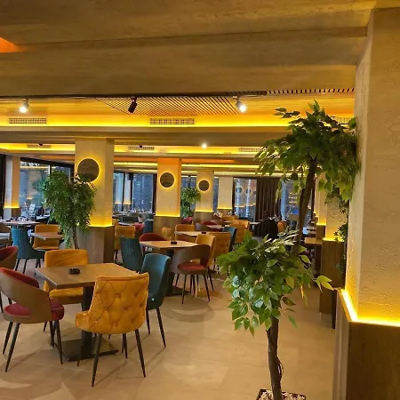 Sans Lux N42 Milmari קופאוניק