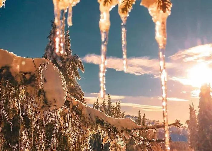 Sans Lux N42 Milmari *