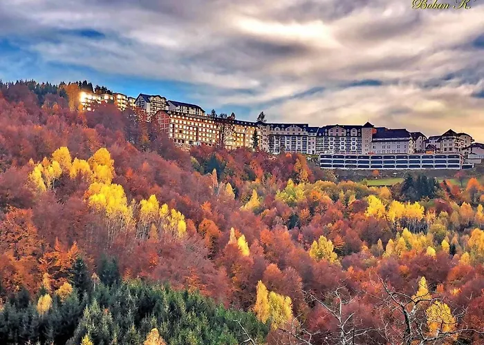 Apartman Sans Lux N42 Milmari Kopaonik