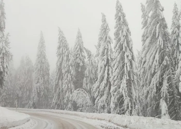 Sans Lux N42 Milmari Apartman *