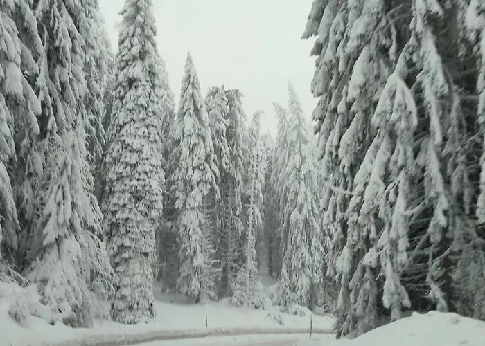 Sans Lux N42 Milmari Apartman