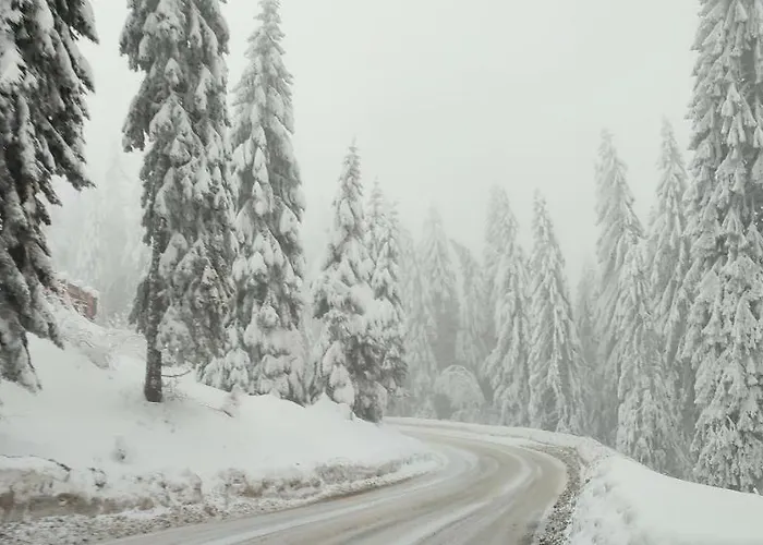 Apartman Sans Lux N42 Milmari Kopaonik