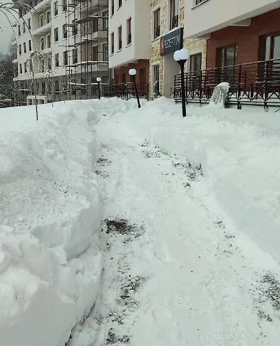 Apartman Sans Lux N42 Milmari